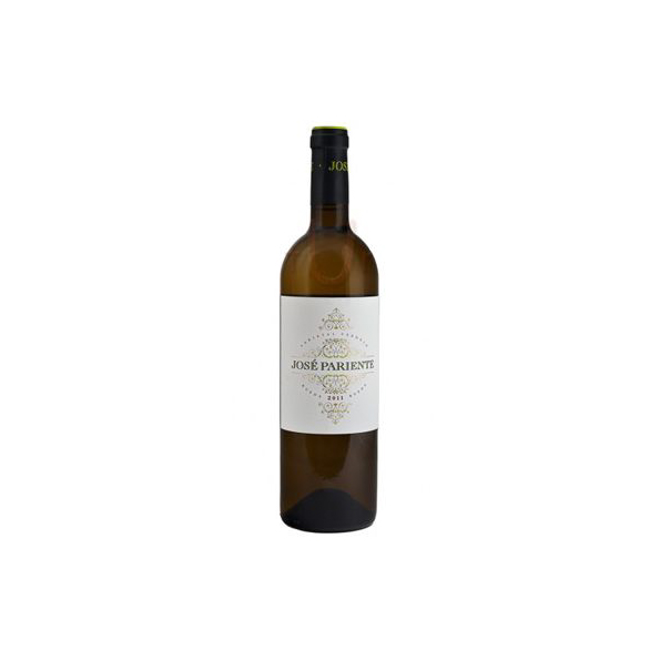 José Pariente Sauvignon Blanc - World of Wine